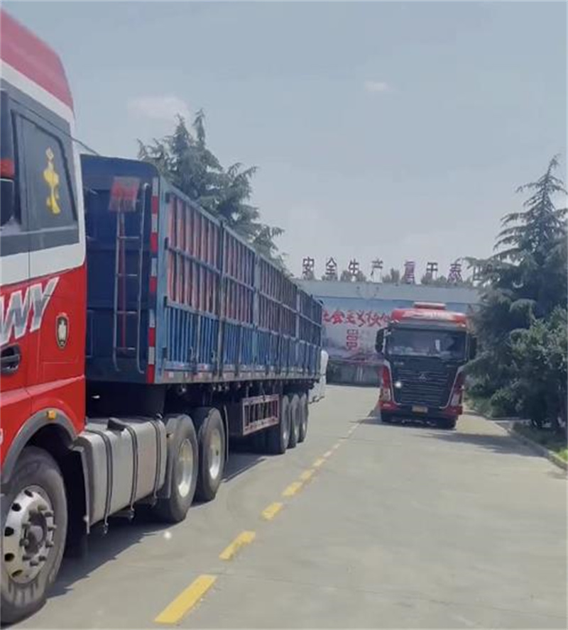 �����ֳ�