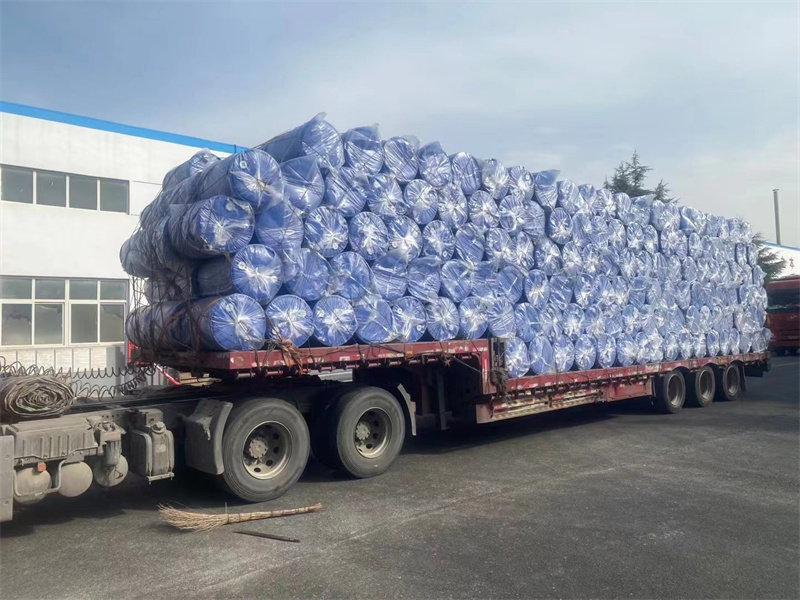 �����ֳ�