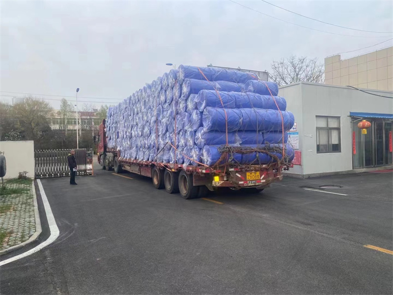 �����ֳ�