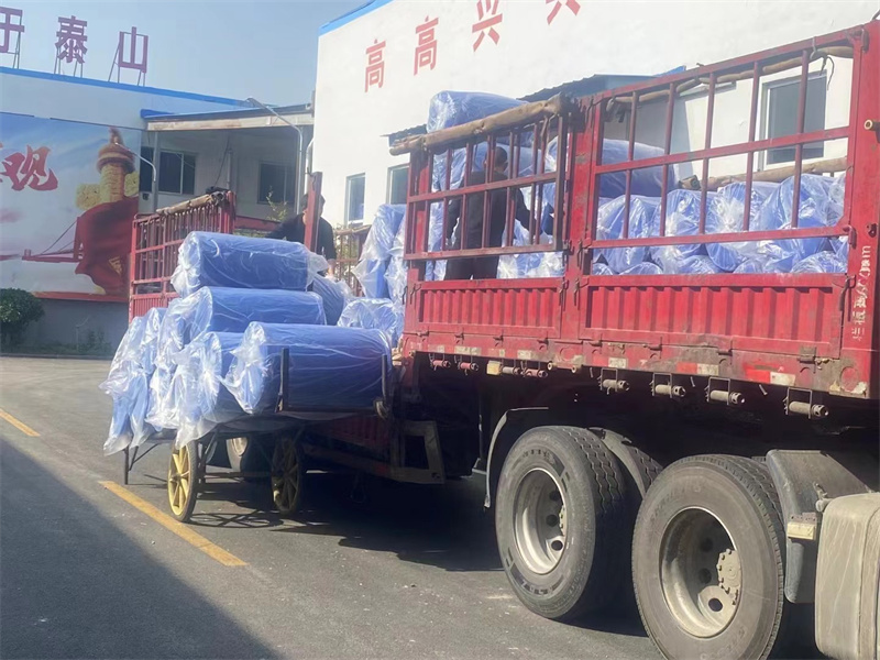 �����ֳ�